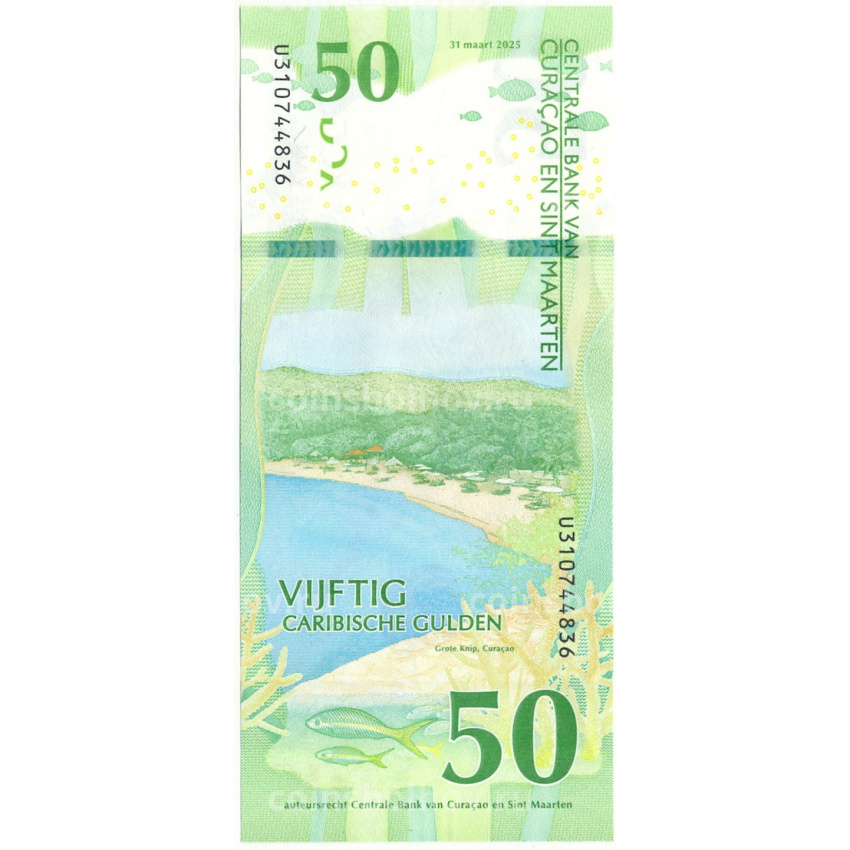 Банкнота 50 гульденов 2025 года Кюрасао и Сен-Мартен (вид 2)
