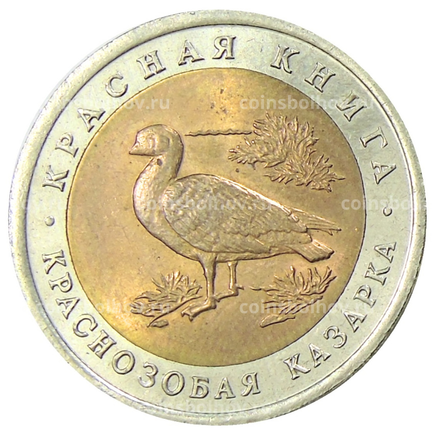 Монета 10 рублей 1992 года ЛМД «Красная книга — Краснозобая казарка»