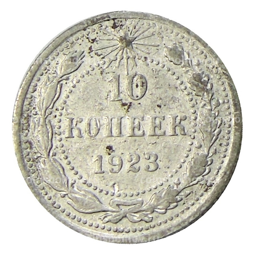 Монета 10 копеек 1923 года