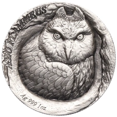 Монета 25 центов 2025 года Самоа «Дупло дерева — Короткоухая сова (Болотная сова)» (аверс)