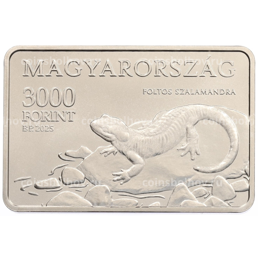 Монета 3000 форинтов 2025 года Венгрия «Национальные парки Венгрии —  Национальный парк Аггтелек»