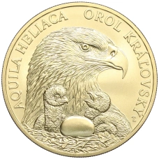 Монета 5 евро 2025 года Словакия «Фауна и флора Словакии — Могильник» (аверс)