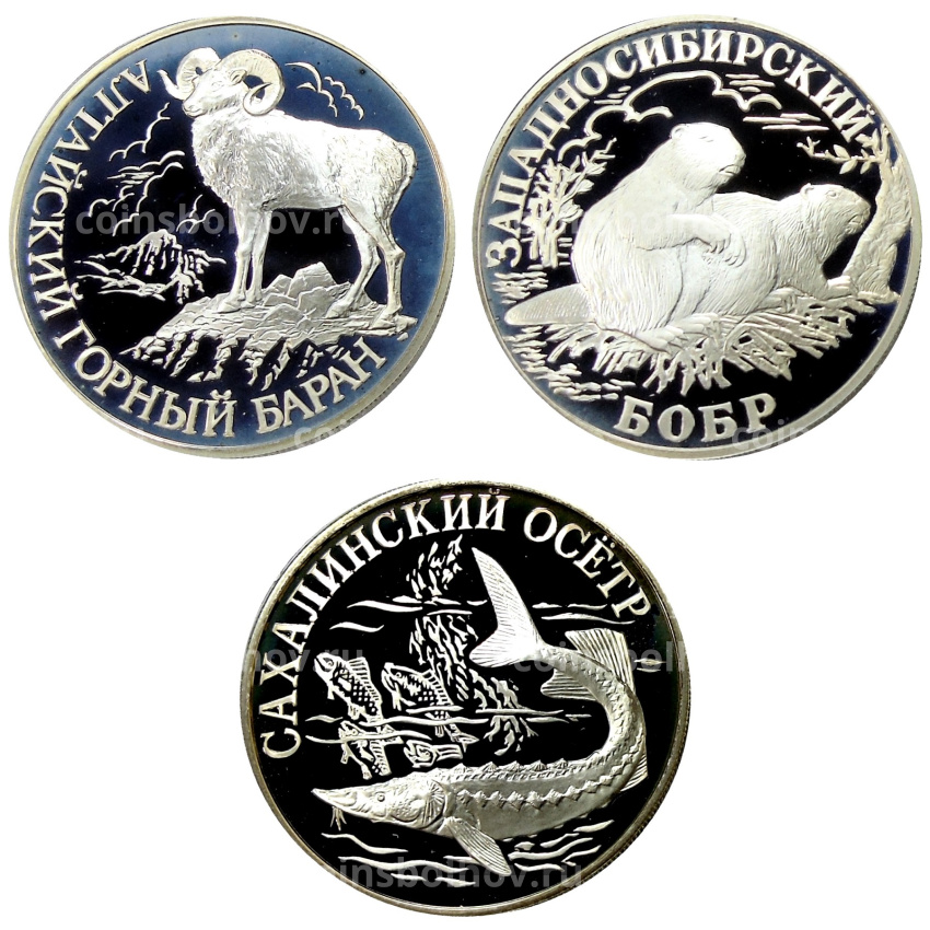 Набор из 3 монет 1 рубль 2001 года СПМД «Красная книга»