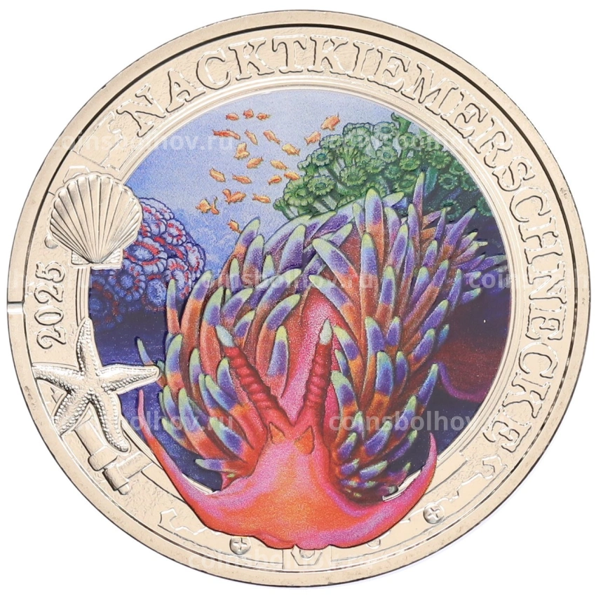 Монета 3 евро 2025 года Австрия «Светящаяся морская жизнь — Голожаберный моллюск»