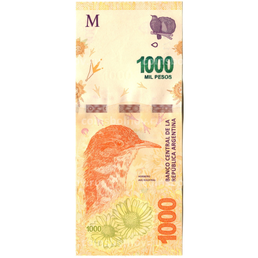 Банкнота 1000 песо  2019 года Аргентина
