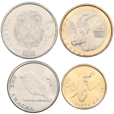 Набор из 4 монет 2024 года Замбия (аверс)