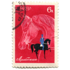 Маркас «Породы лошадей — Арабская»