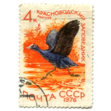 Марка «Красноводский заповедник — лысуха» 1976 год