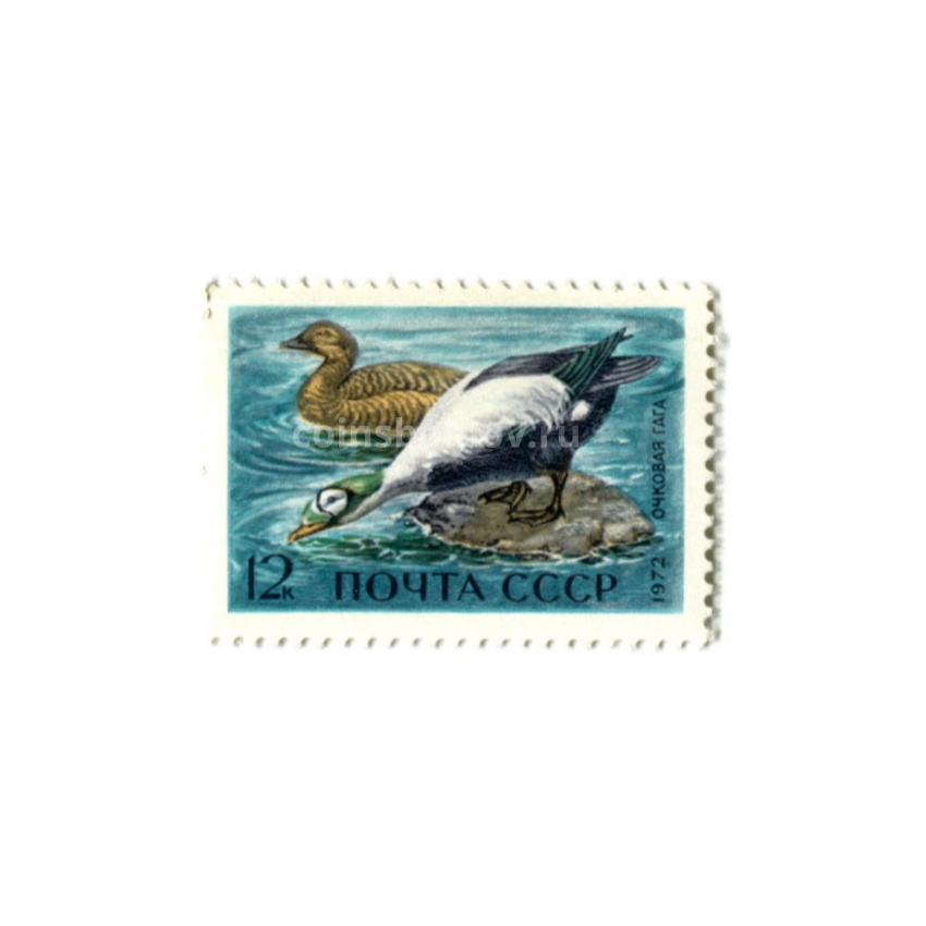 Марка «Очковая гага» 1972 год
