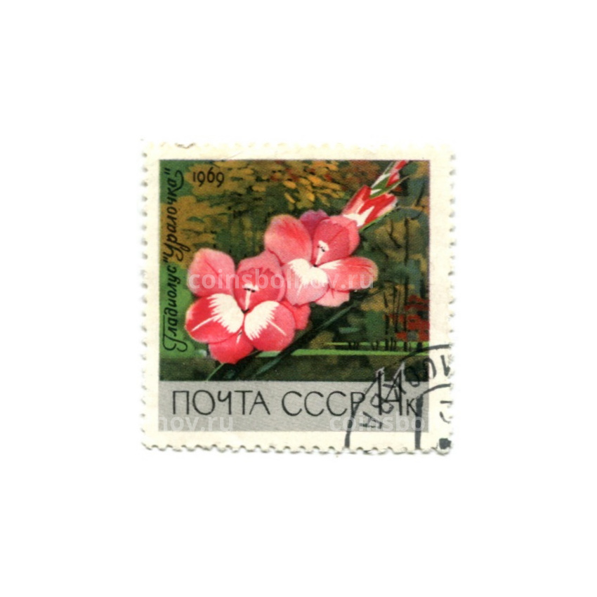 Марка Гладиолус «Уралочка» 1969 год
