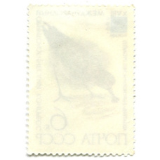 Марка «XVIII международный орнитологический конгресс — лопатень» 1982 год (вид 2)