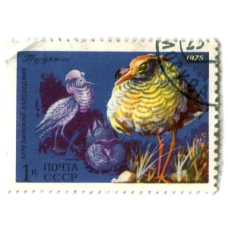 Марка «Березинский заповедник — Турухтан» 1975 год