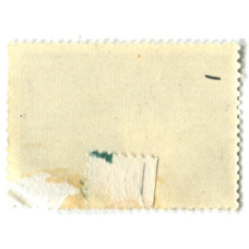 Марка «Березинский заповедник — Турухтан» 1975 год (вид 2)