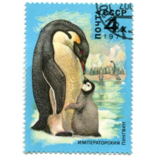 Марка «Императорский пингвин» 1978 год