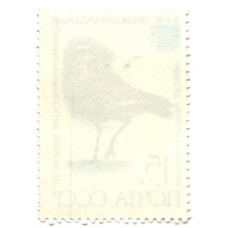 Марка «XVIII международный орнитологический конгресс — Кречетка» 1982 год (вид 2)