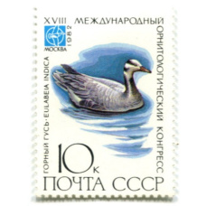 Марка «XVIII международный орнитологический конгресс — Горный гусь» 1982 год