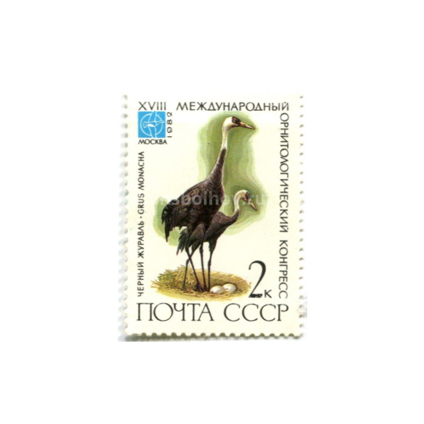 Марка «XVIII международный орнитологический конгресс — Черный журавль» 1982 год