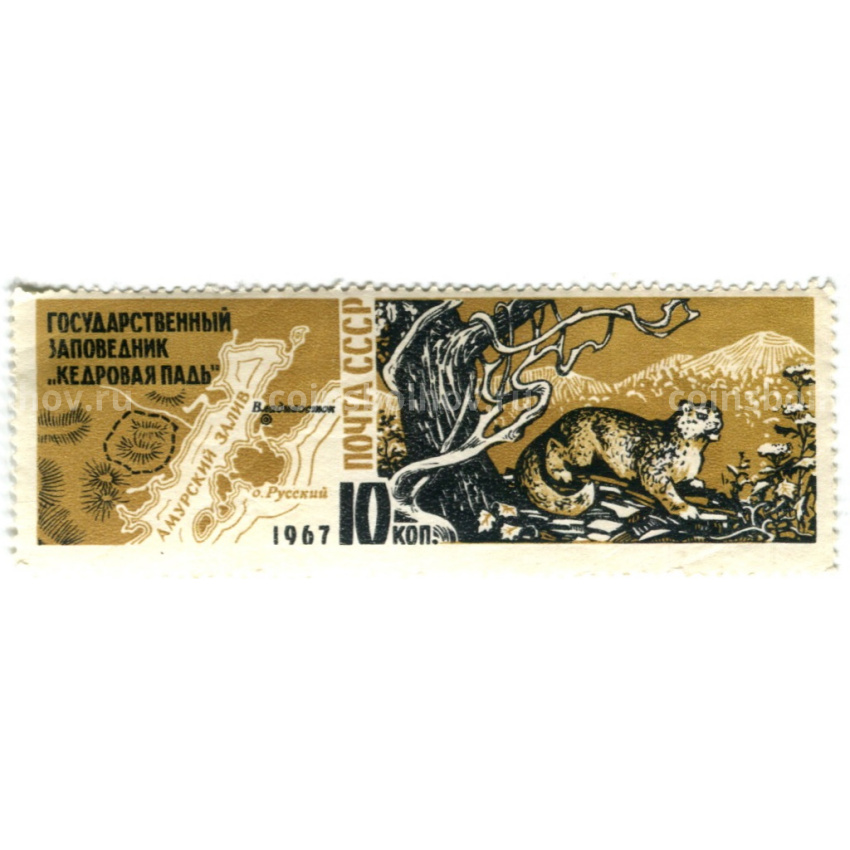 Марка «Государственный заповедник «Кедровая падь» 1967 год