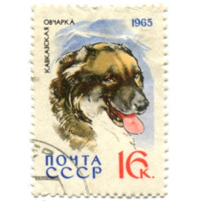 Марка «Кавказская овчарка» 1965 год