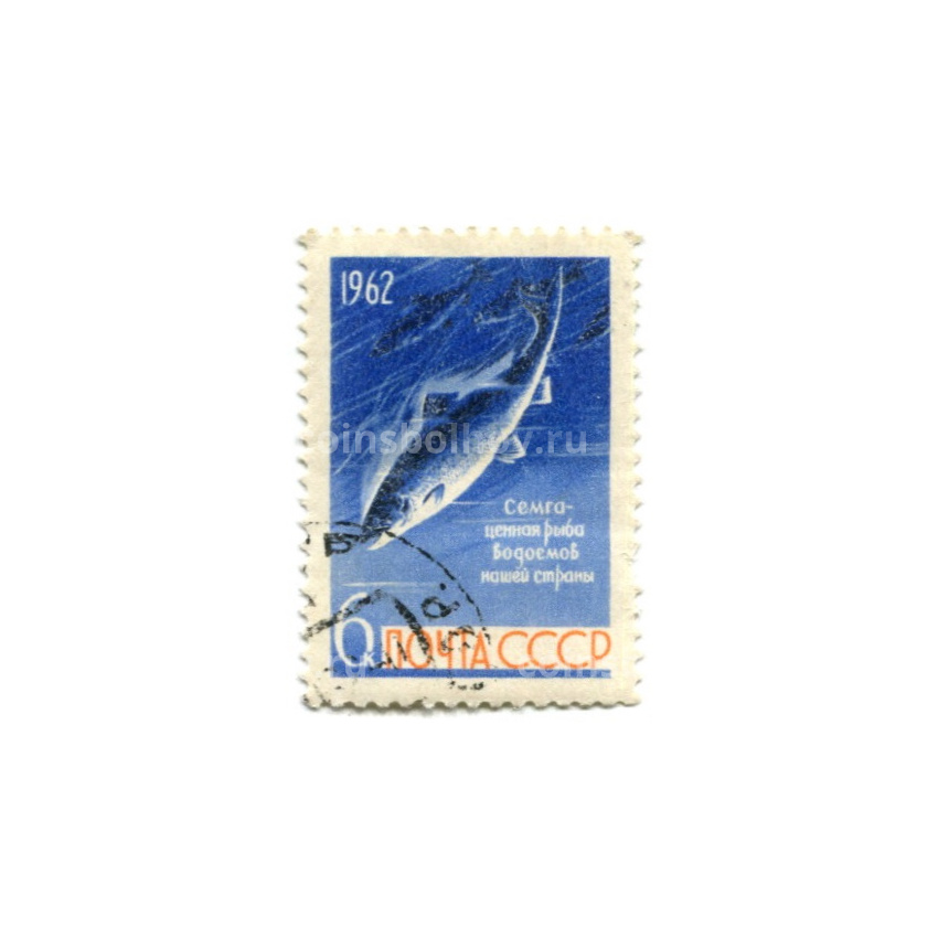 Марка «Семга» 1962 год