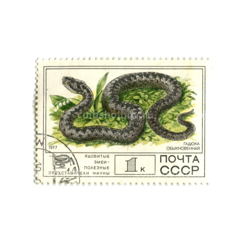 Марка «Ядовитые змеи — Гадюка обыкновенная» 1977 год