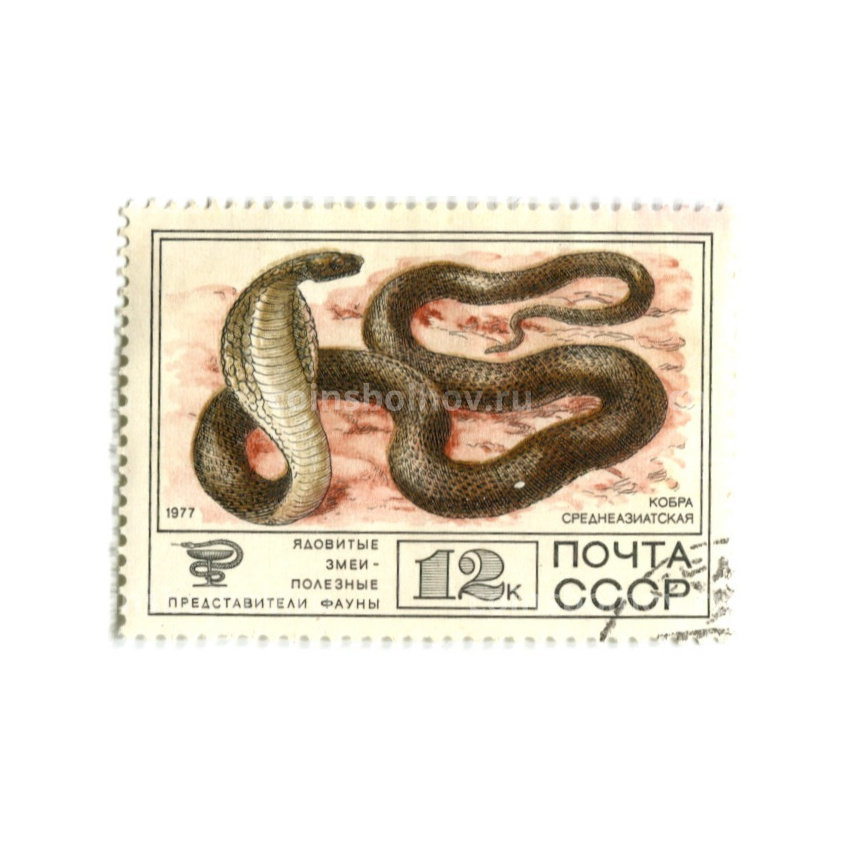 Марка «Ядовитые змеи — Кобра среднеазитская» 1977 год