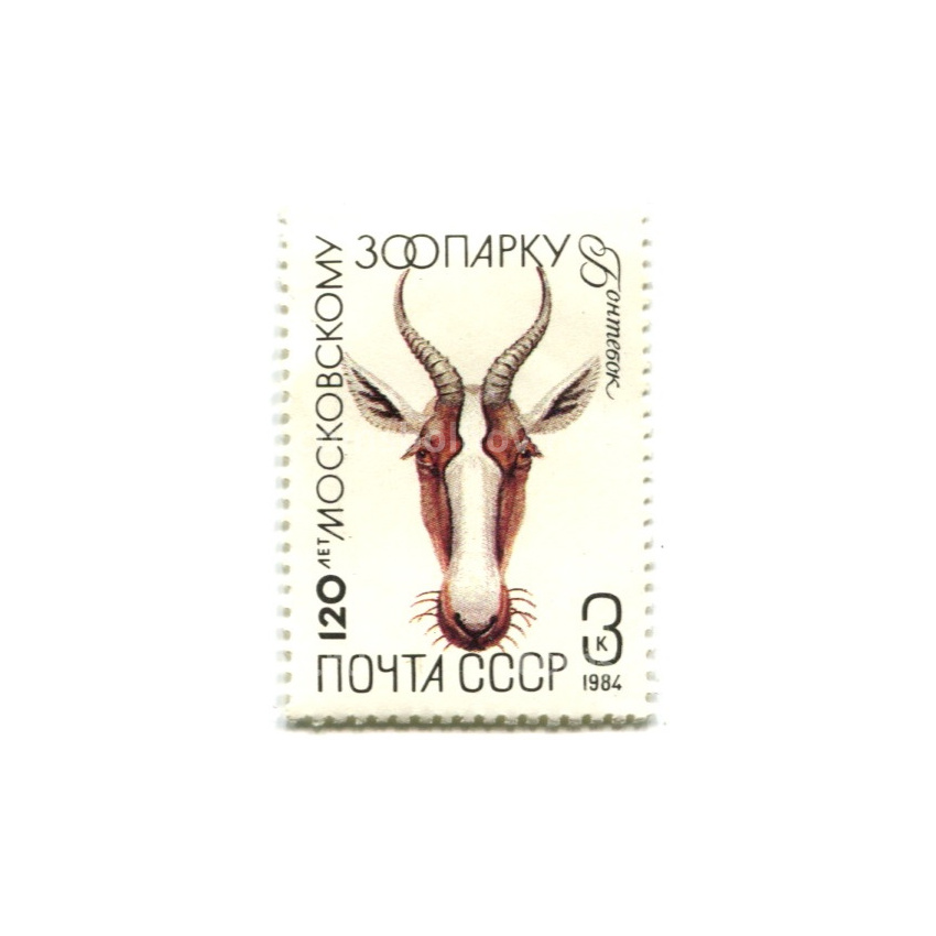 Марка «120 лет московскому зоопарку — Бонтебок» 1984 год
