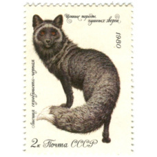 Марка «Ценные породы пушных зверей — Лисица серебристо-черная» 1980 год