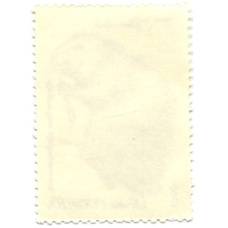 Марка «Ценные породы пушных зверей — Нутрия белая Азербайджанская» 1980 год (вид 2)