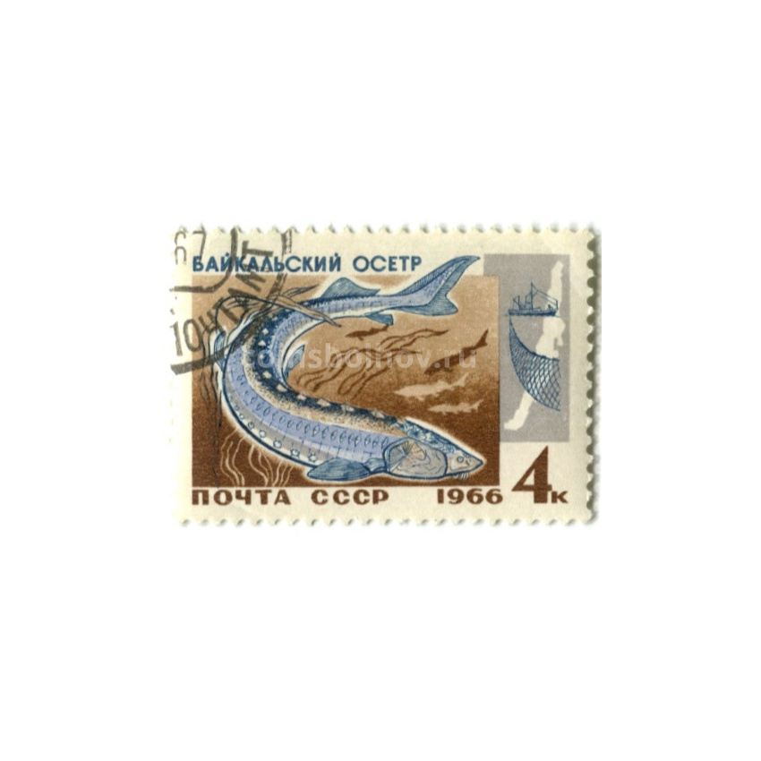 Марка «Байкальский Осетр» 1966 год