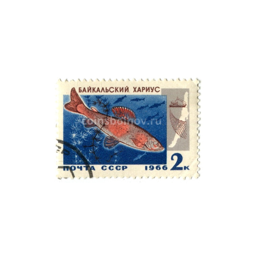 Марка «Байкальский Хариус» 1966 год