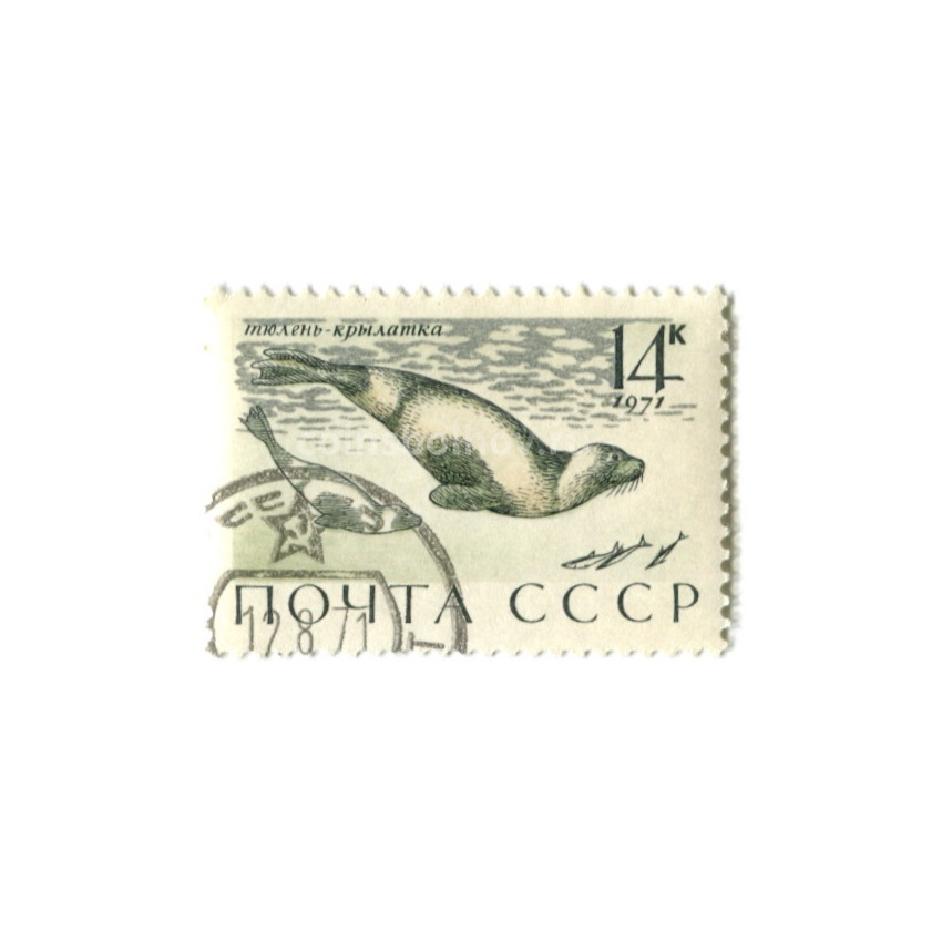 Марка «Тюлень-крылатка» 1971 год