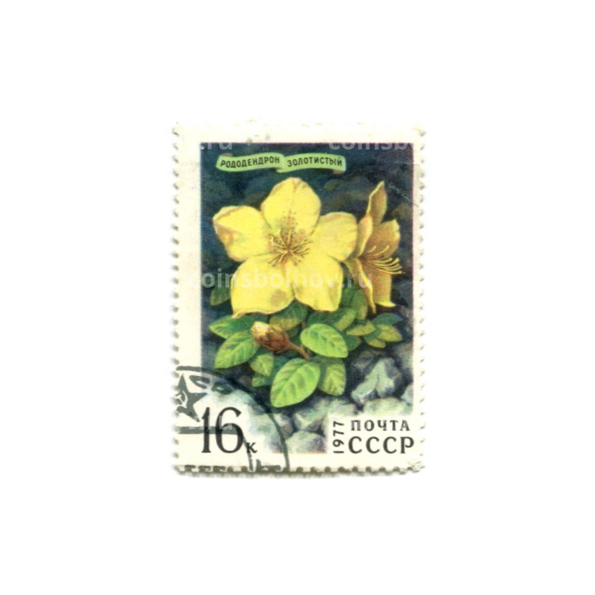Марка «Рододендрон золотистый» 1977 год