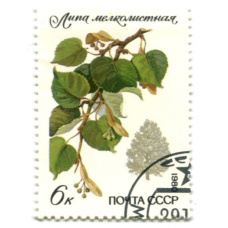 Марка «Липа мелколистаня» 1980 год