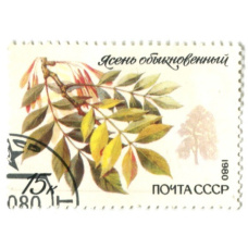Марка «Ясень обыкновенный» 1980 год