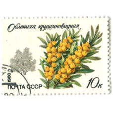 Марка «Облепиха крушевидная» 1980 год
