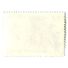 Марка «Облепиха крушевидная» 1980 год (вид 2)