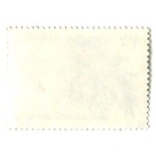 Марка «Облепиха крушевидная» 1980 год (вид 2)