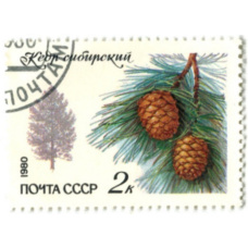 Марка «Кедр сибирский» 1980 год