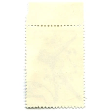 Марка «XIII Зимние Олимпийские игры в Лейк-Плесид — Конькобежный спорт» 1980 год (вид 2)