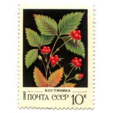 Марка «Костяника» 1982 год