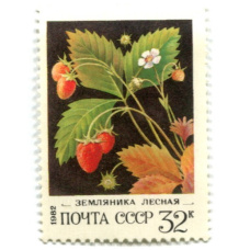 Марка «Земляника лесная» 1982 год