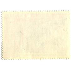 Марка «60-летие образования СССР — I всесоюзный сьезд Советов» 1982 год (вид 2)