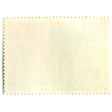 Марка «60 — летие образования СССР — закон СССР о защите мира» 1982 год (вид 2)