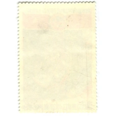 Марка «Международные полеты в космос СССР -Китай» (космонавты в капсуле) 1980 год (вид 2)