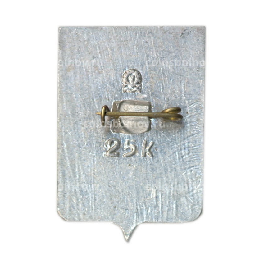 Значок Таганрог (вид 2)