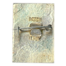 Значок Владимир (вид 2)