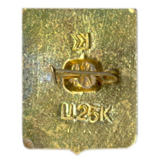 Значок Каховка (вид 2)