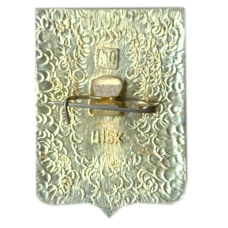 Значок Тамбов (вид 2)