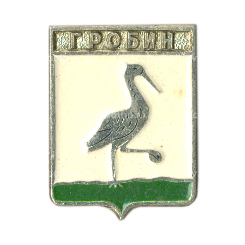 Значок Гробин